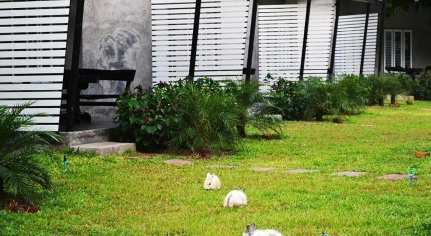 V Valley Resort Satun Exterior foto