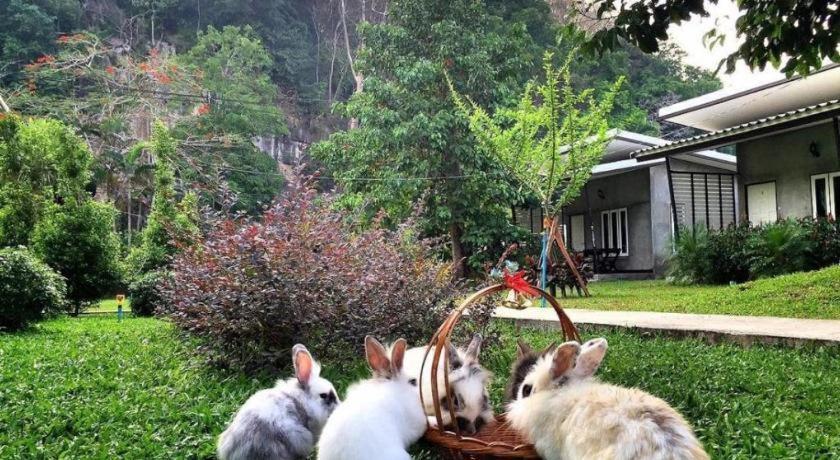 V Valley Resort Satun Exterior foto
